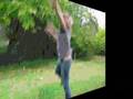 videos de A day in the life of beau and wade
