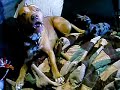 when dachshunds attack when dachshunds attack