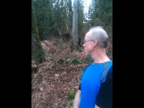 See video