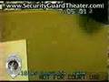 ROBBER KNOCKED OUT IN FREAK ACCIDENT