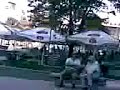 centru craiova porumbei
