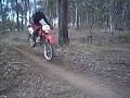XR 250