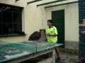 Ping pong Kevin Zapatero Ping pong Kevin Zapatero