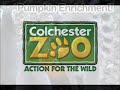 Pumpkin Enrichment Fun!