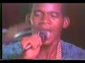reggae video