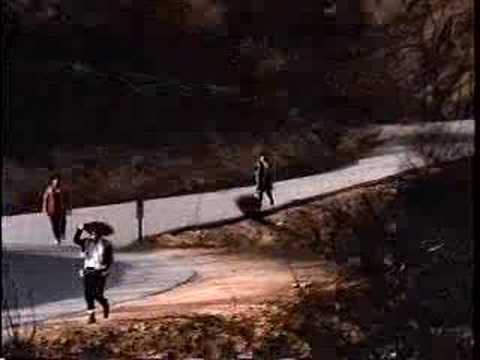Samples - The Samples video for Everytime.