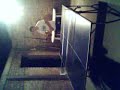 Vid0008