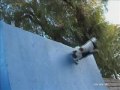 DOG EXTREME PETE..LEARN TO TRAIN LIKE THIS