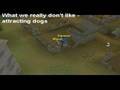 Our runescape life