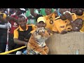 Click on this image to view the video!