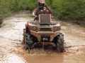 BOGGERS UNLIMITED TEXAS