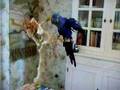Gwen Stefani with dancing Hyacinth Macaw Jason 'Sweet escape
