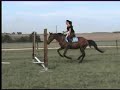 Saut gigi