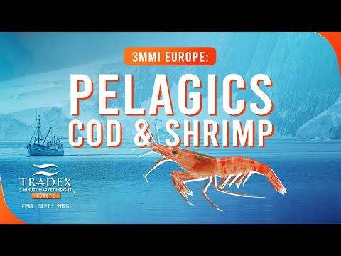 3MMI Europe: Pelagics in Season, Cod in Focus & Shrimp Secured