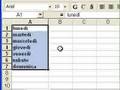 Lezione n.005 - parte 1 - Il Foglio Elettronico Excel