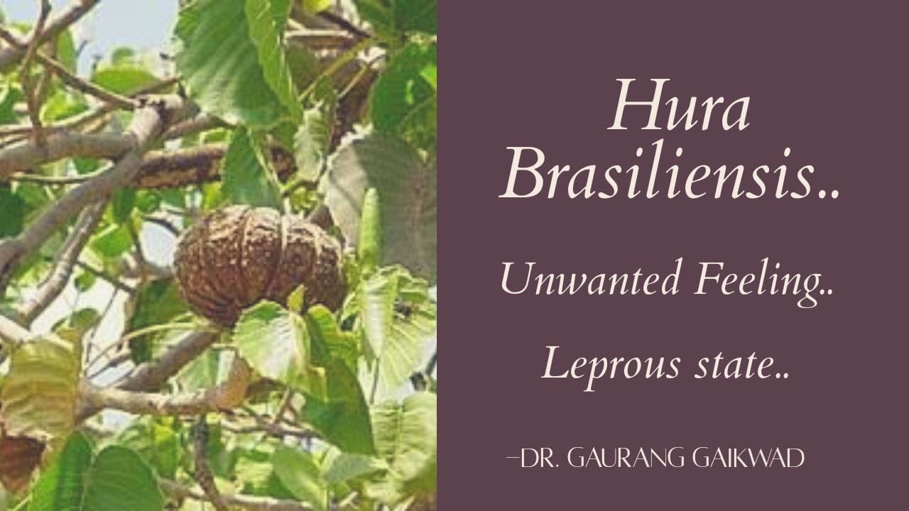 Hura Brasiliensis- Unwanted Feeling- leprous state by Dr Gaurang Gaikwad