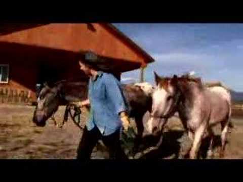 Merry Misfits: Disabled Animals of the Rolling Dog Ranch