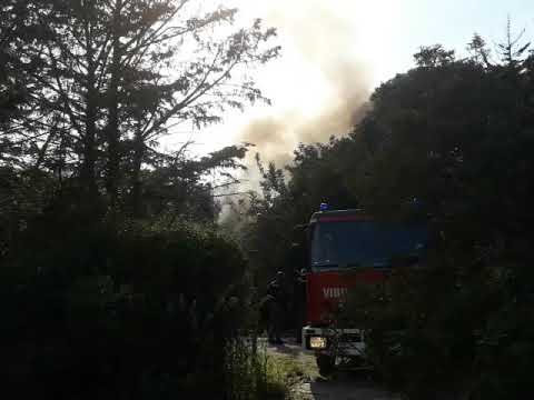 Incendio a San Felo, tra Porto Azzurro e Rio