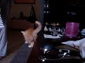 Luna thuis op Mallorca