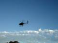 Raptor 50 Scale hughes 500 MD530 RC Helicopter