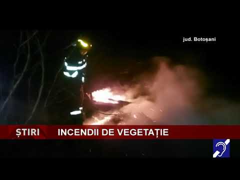 Incendii de vegetație uscată, în județul Botoșani