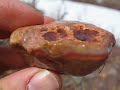 Ugly quartzite encased muffin rock