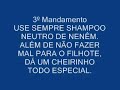 Como dar banho em Filhotes Como dar banho em Filhotes