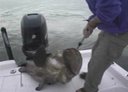 Chew On This! Cameraman Can Back in Time Fishing Show