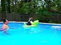 My Puppy dog in the pool