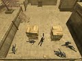 Leki - BF2 - Charge