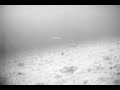 Peche sur glace 14 mars 2007