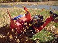 Leaf snow blower