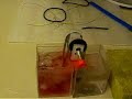 Nitinol Motor Experiment II Nitinol Motor Experiment II