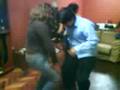 Kisy y Milu