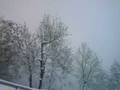 videos de schnee im graubünden (22-11-08)