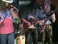 teledysk, klip, Lynyrd Skynyrd,- Swamp Music
