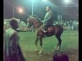 احسن رقص للخيل و جمال الخيل مع الاستاذ محمد المغربي و متعه الخيل الاصلى و على الاصل دور و خش يا استاذ محمد الله يباركلهمع تحيات :إسلام الشاذلى
