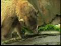 videos de VOA Daily Download Thursday Dec. 4, 2008