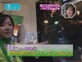 honey and clover cafe