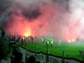 videos de Zagłębie Sosnowiec - Pogoń 8.11.2008r. zadyma1