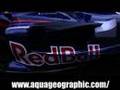 Fomula1 RedBull クルサード in 浅草 ハイクォリティ
