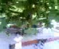 kapadokyali-mod-fyel-modfyesz-kamyonla-ve-tirlar-.html