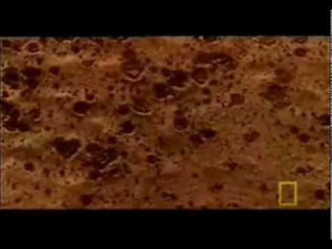 اكتشاف علمى صدم العالم على اليوتيوب هل سيصدمك؟!.flv