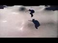 Mestarit Areenalla Trailer with Fantasytank