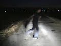 Jumpcrew BW kurzes Duo Dave und Robster Jumpcrew BW kurzes Duo Dave und Robster