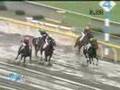 2007年10月27日 東京4R 障害未勝利 シルクサラマンダー