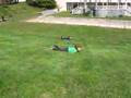 kids rolling down hill