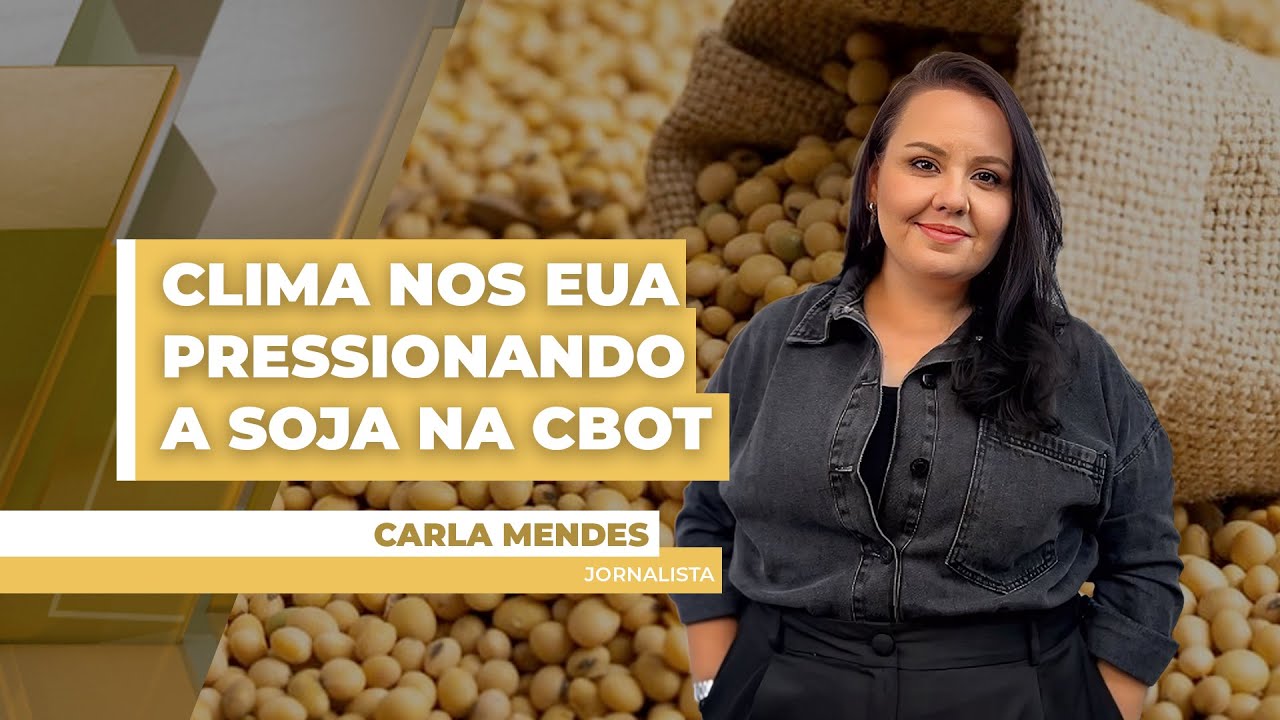 Clima favorável no EUA, guerra comercial e boa comercialização no BR pesam sobre a soja em Chigo ...
