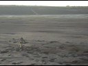R/C nitro wipeout