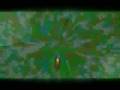 videos de Circus Storm - Chris Anderson